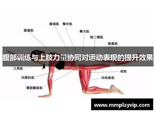 腹部训练与上肢力量协同对运动表现的提升效果
