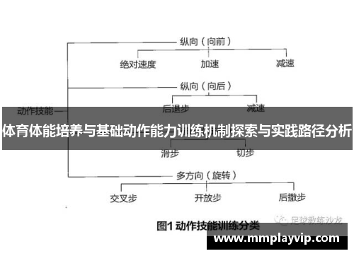 体育体能培养与基础动作能力训练机制探索与实践路径分析