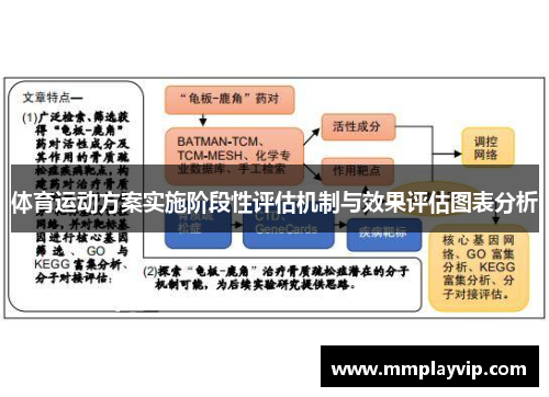体育运动方案实施阶段性评估机制与效果评估图表分析