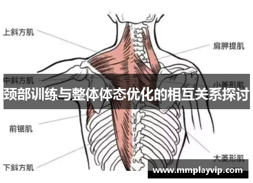 颈部训练与整体体态优化的相互关系探讨 颈部训练与整体体态优化的相互关系探讨